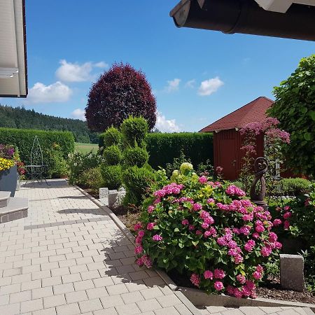 Ferienwohnung Toni Mit Balkon Und Garten Pemfling 外观 照片