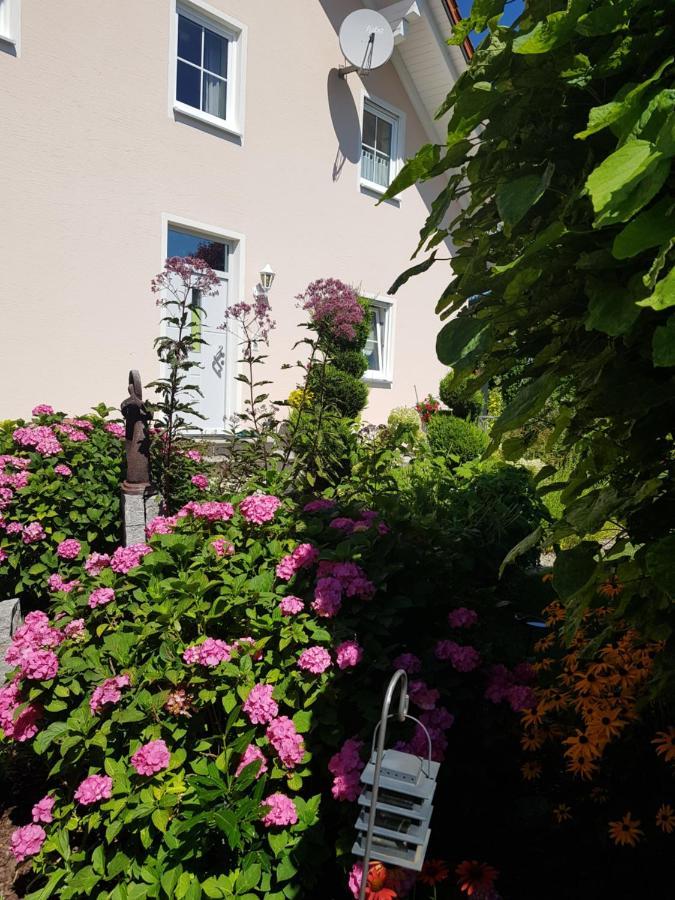 Ferienwohnung Toni Mit Balkon Und Garten Pemfling 外观 照片